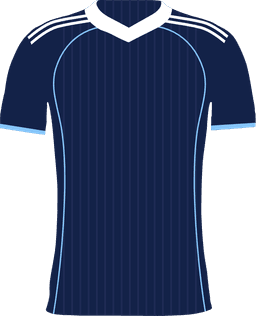 Paris FC 