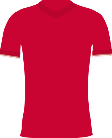 Standard Liege items