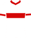 VFB Stuttgart Club