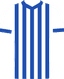 Brighton & Hove Albion Club