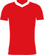 Bristol City FC