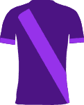 Toulouse FC items