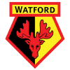 Watford items